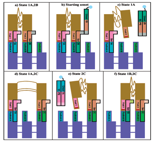 File:150624 LMS Biped steps.png