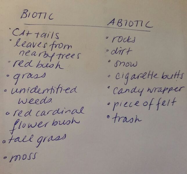 File:20150126 140437-1.jpg