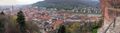 view from the Heidelberg Burg