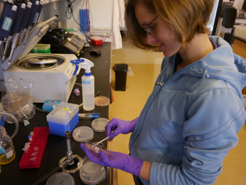 File:Janet Matsen 2013 bench photo.png