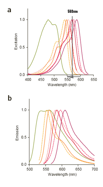 File:MFruit Curves.PNG
