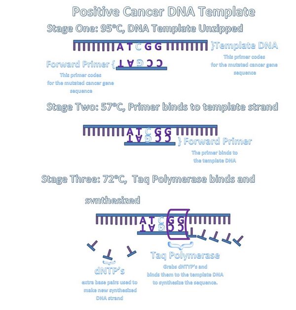 Description of image