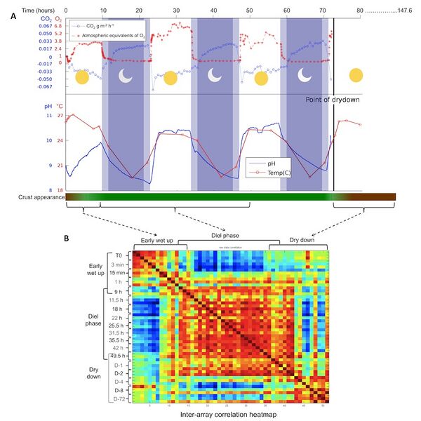 File:Rajeev et al 2013 Figure 1.jpg