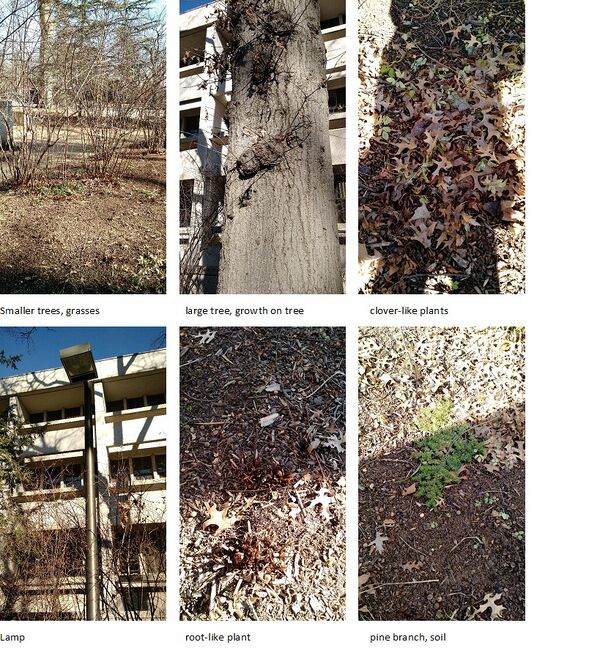 Description of image