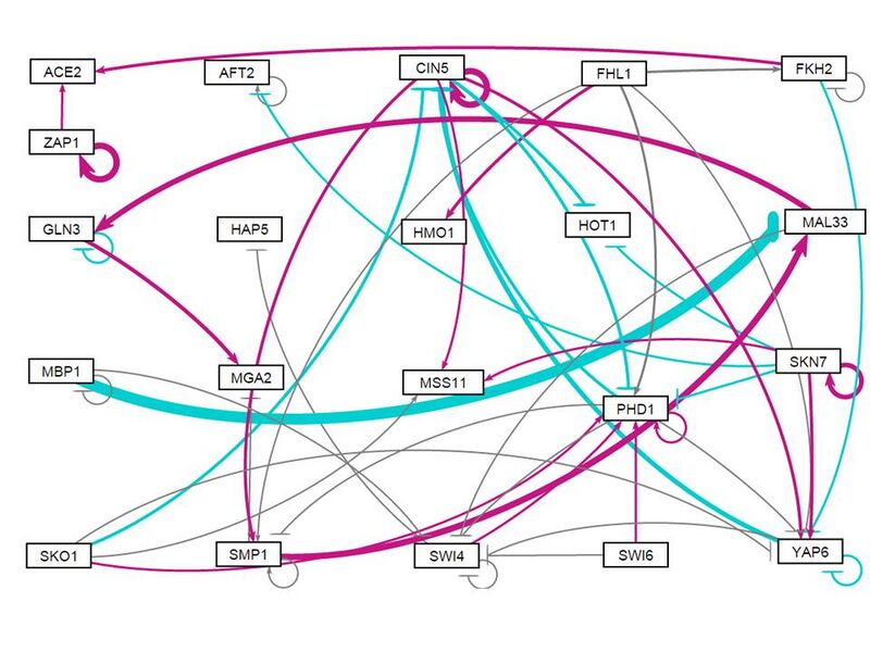 File:Wt alone w1 network.jpg
