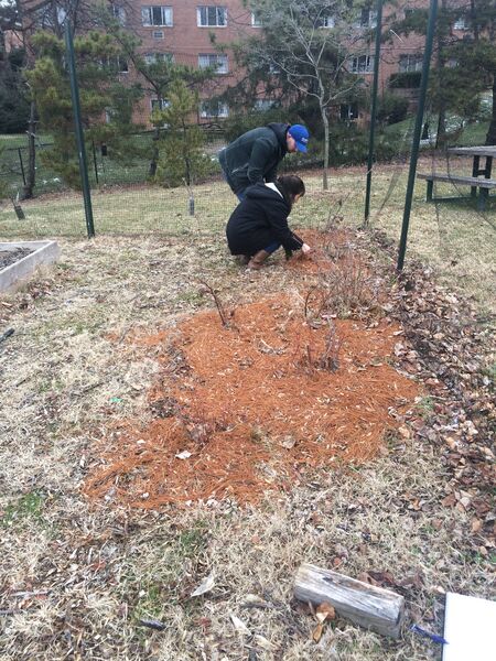 File:--Image-Owwnotebook icon.png-thumb-frame-left-Observing a part of the transect--