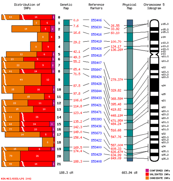 File:Chromosome5BME103Group2.gif