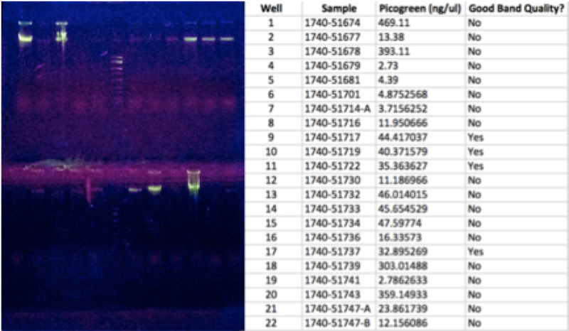 File:WIFL NAU 1740-51674 2.png