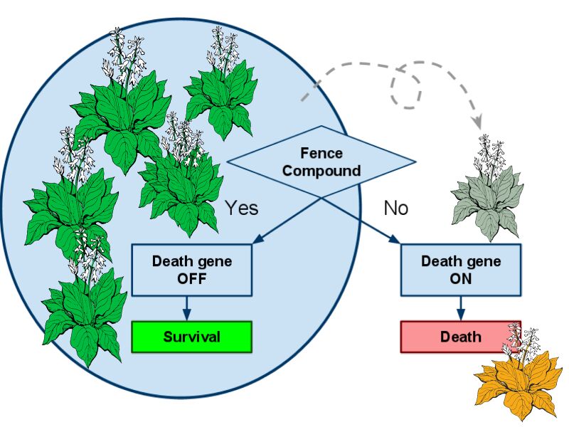 File:Flowchart Jamboree slide.jpg