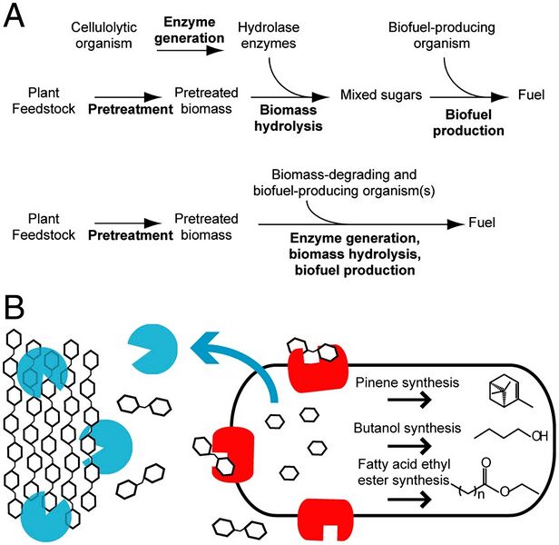 File:--image-CH391L S12 Metabolic engineering.png-thumb-right-Industrial applications--