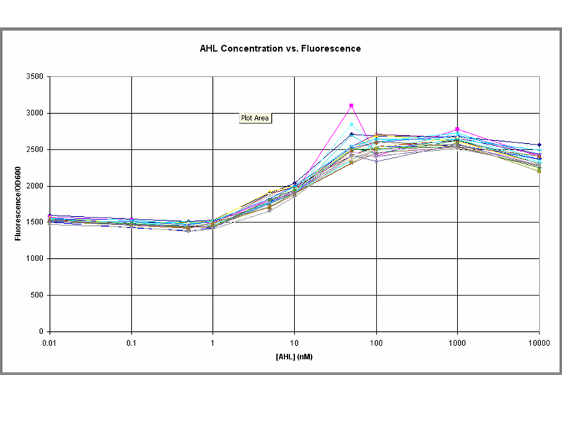 File:270806 J37016.png