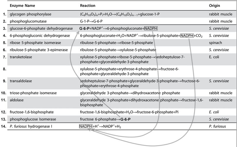 File:Enzymes6.jpg