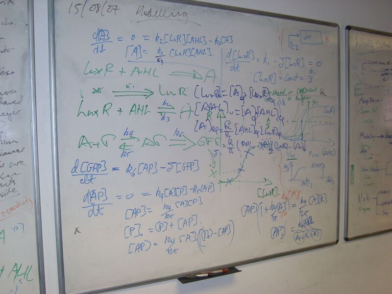 File:IC07 image083.jpg