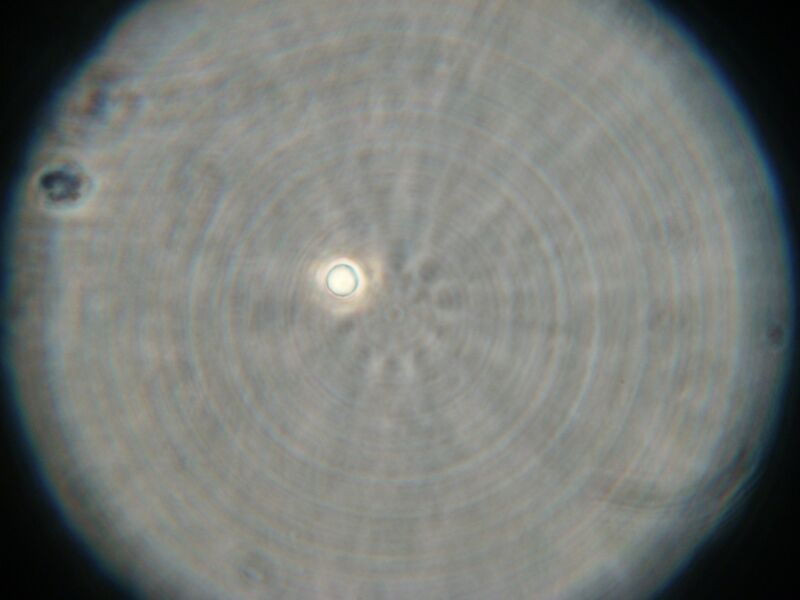 File:IC07 image167.jpg