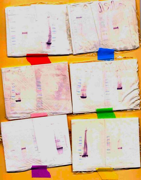 File:Macintosh HD-Users-nkuldell-Desktop-Westerns T=R.jpg