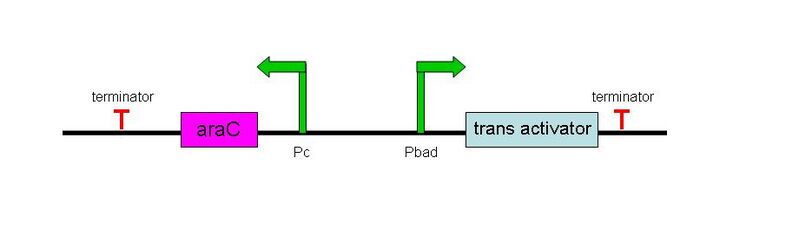 File:Wiki overview2.JPG