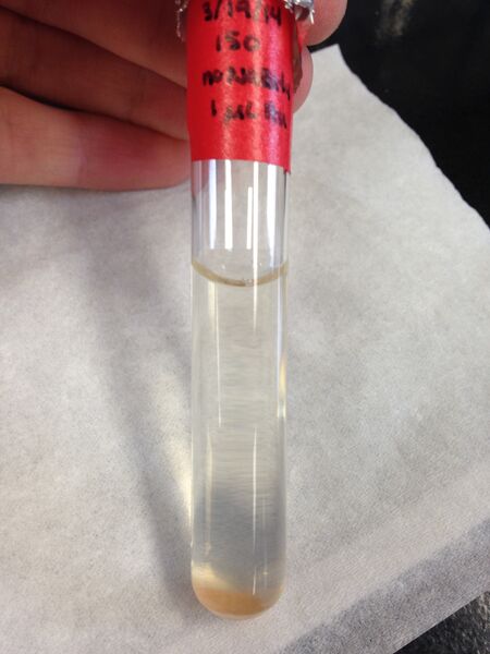 File:150, 1uL Au.jpg