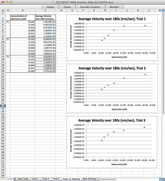 File:20130227 ADA Kinetics 3T.tiff