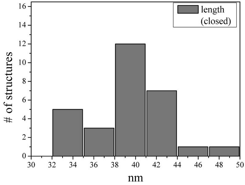 File:BM12 nanosaurs histograms Length (closed)800.jpg