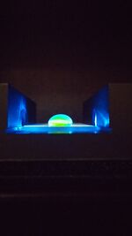 5.0 μg/mL (Calf Thymus DNA)