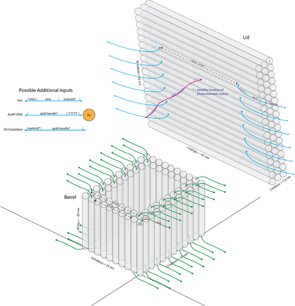 File:Diagram revised.png