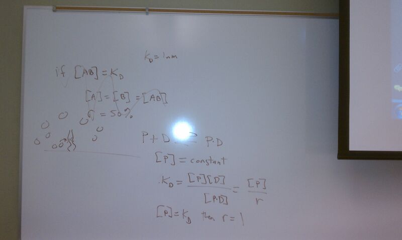 File:MTC Feb 24 Kd.jpg