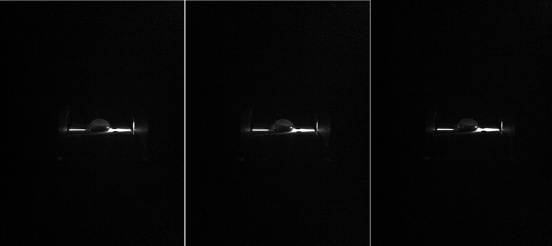 File:Neg Sample Array.png