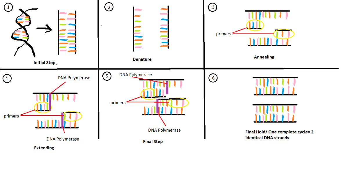 Description of image