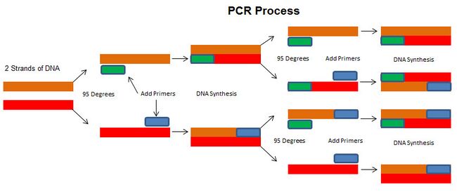 Description of image