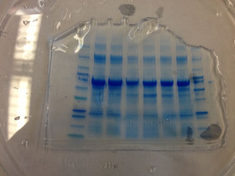 File:S13 M2D7 TR Green.JPG