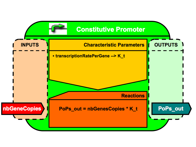 File:VBB ConstitutivePromoter.png