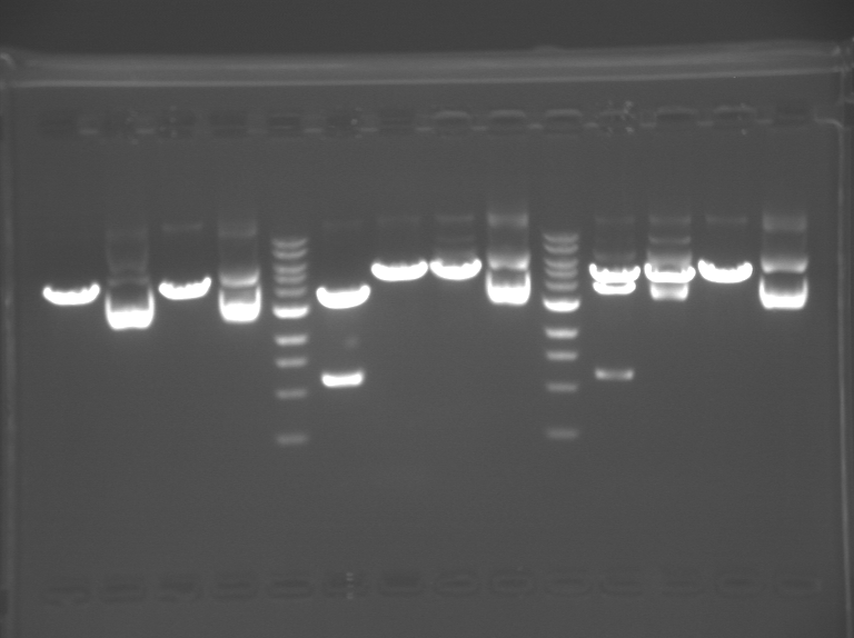 File:20.109(F11) TThBlue.BMP