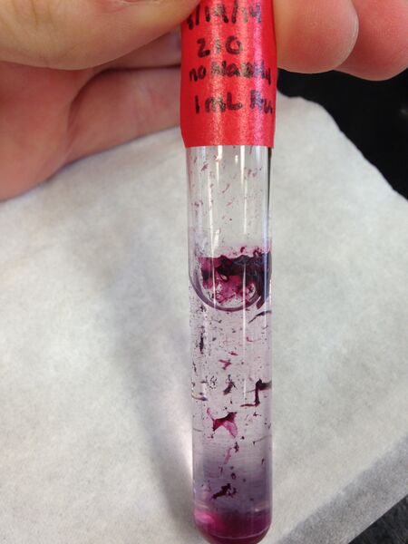 File:210, 1mL Au.jpg