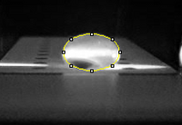 High Calf Thymus DNA
