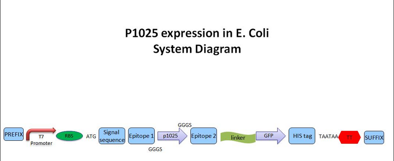 File:System diagram pic.jpg