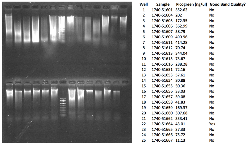 File:WIFL NAU 1750-51601.png