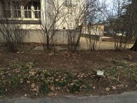 A view of transect #1, facing NE.