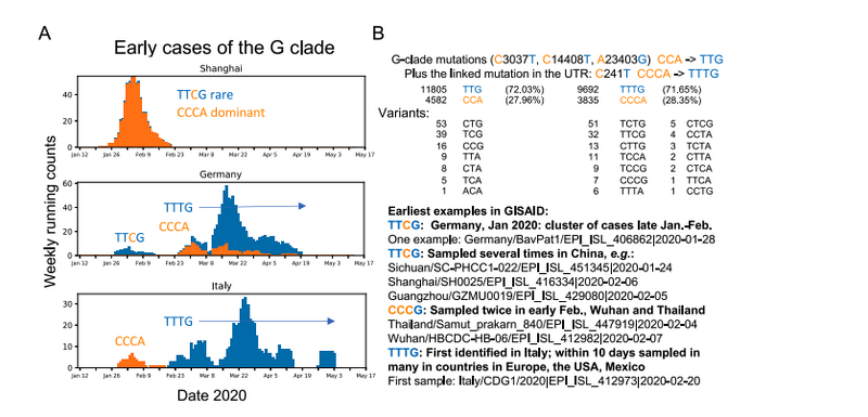 File:Korber Figure S5.PNG