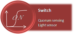 switch: light sensor & qs