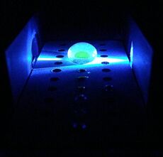 Fluorimter Calf Thymus DNA