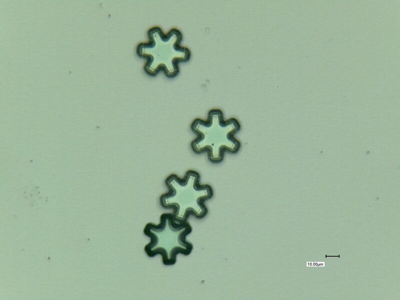 File:20130829 151351.jpg