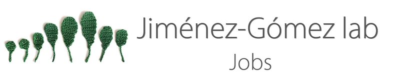 File:Banner.Jobs.leaf series.jpg