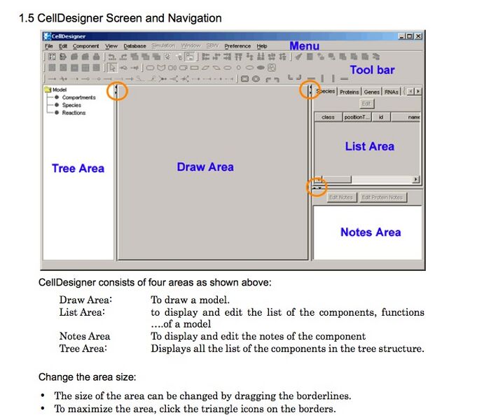 File:CellDesigner-ScreenAndNavigation.jpg
