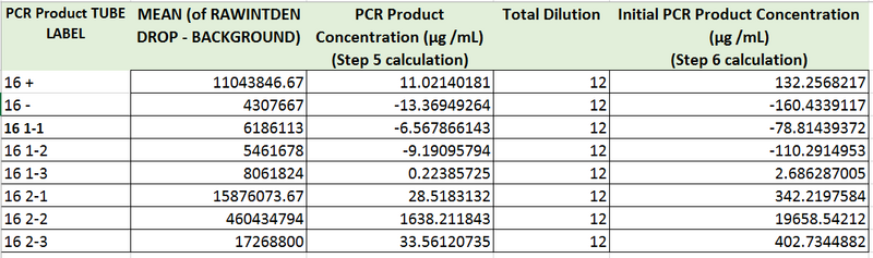 File:Final Results.PNG