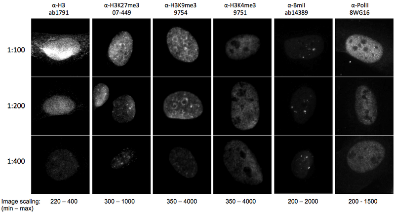 File:KAH 082110 micro1.tif