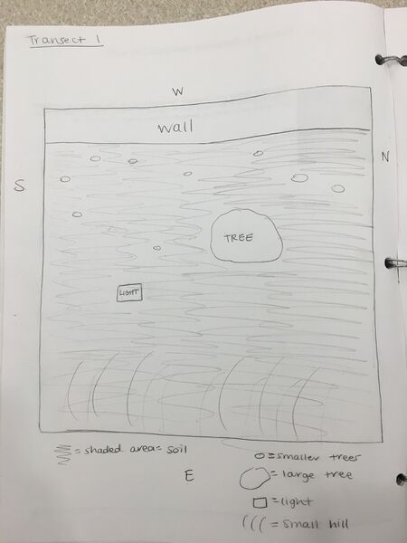 File:Transect aerial view.JPG