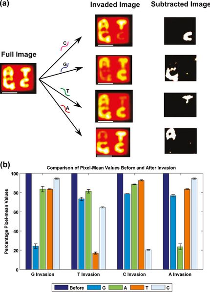 File:20150217 psh 04.jpg
