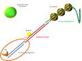Thumbnail for version as of 17:08, 2 November 2009