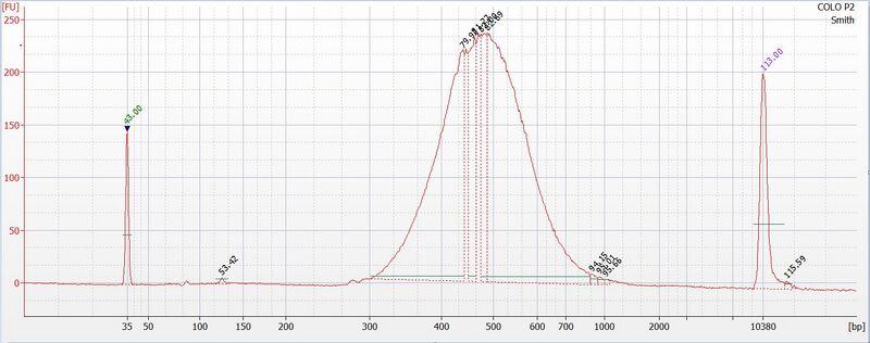 File:COLO P2 Bioanalyzer.JPG