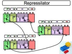 Activated Promoter Component